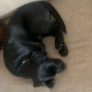 Meet your Posher, Jewel